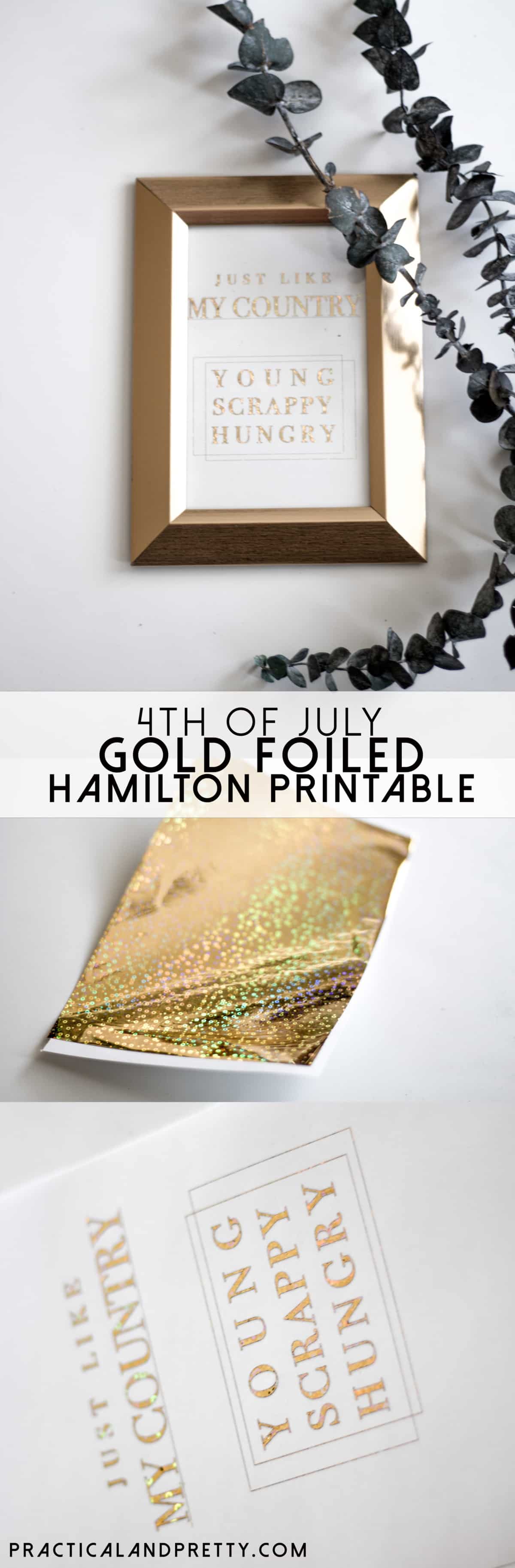 What is more fun for the 4th of July than a Hamilton inspired craft?!