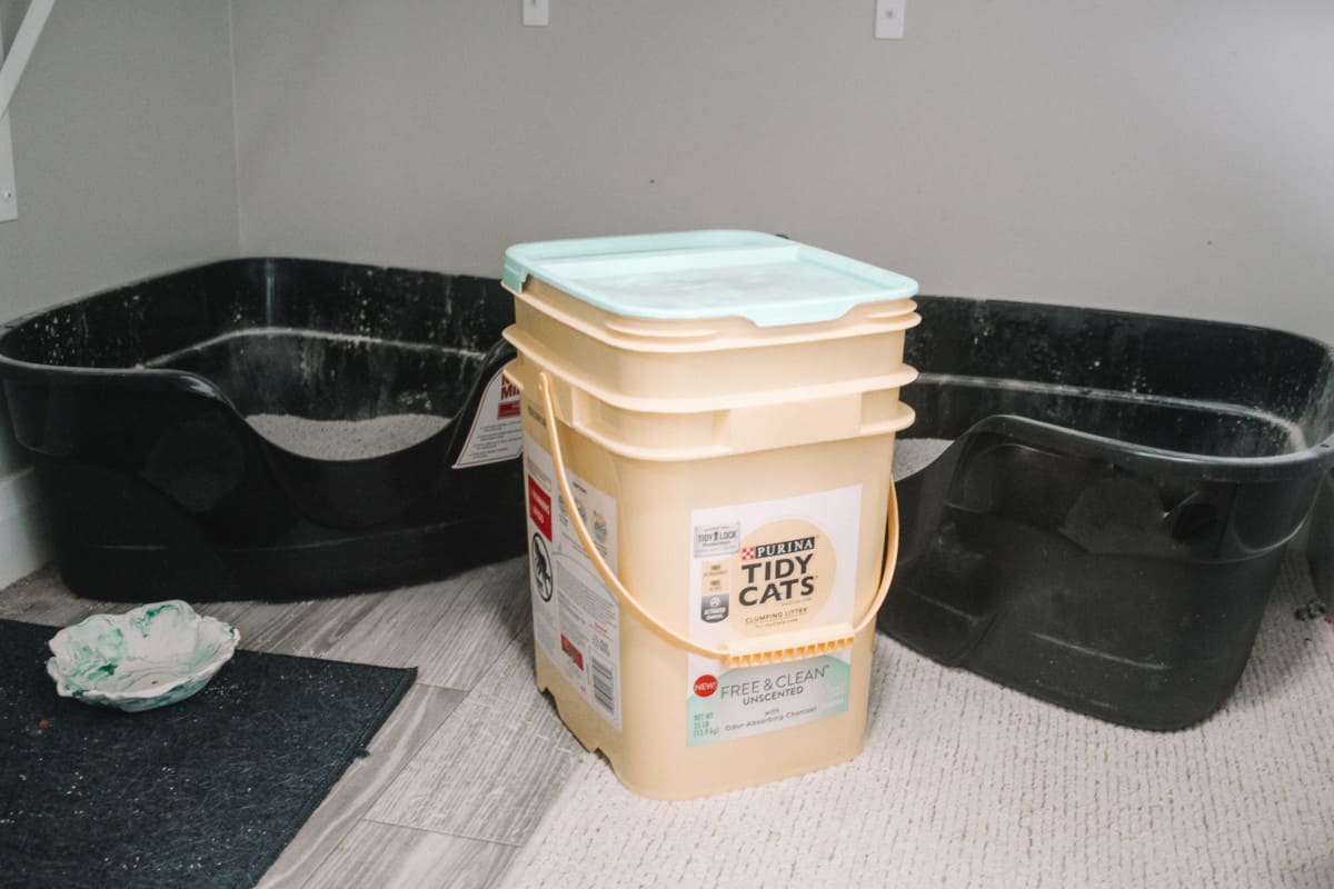 Just because you have a litter box in your home doesn't mean you need to smell it all day long. Take these 4 easy steps to forget your litter box exists.