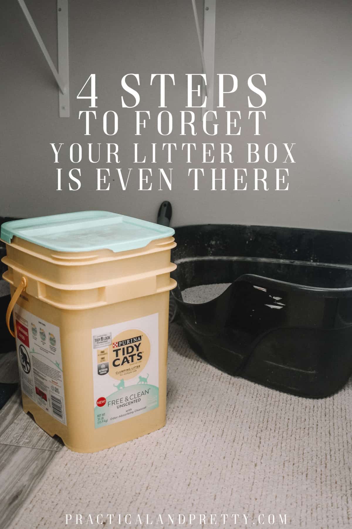 Just because you have a litter box in your home doesn't mean you need to smell it all day long. Take these 4 easy steps to forget your litter box exists.