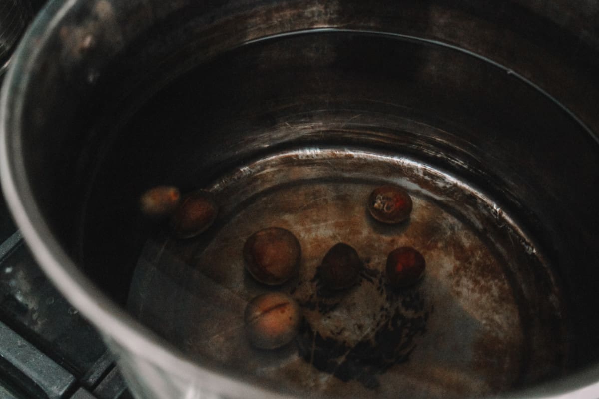 boiling avocado pits