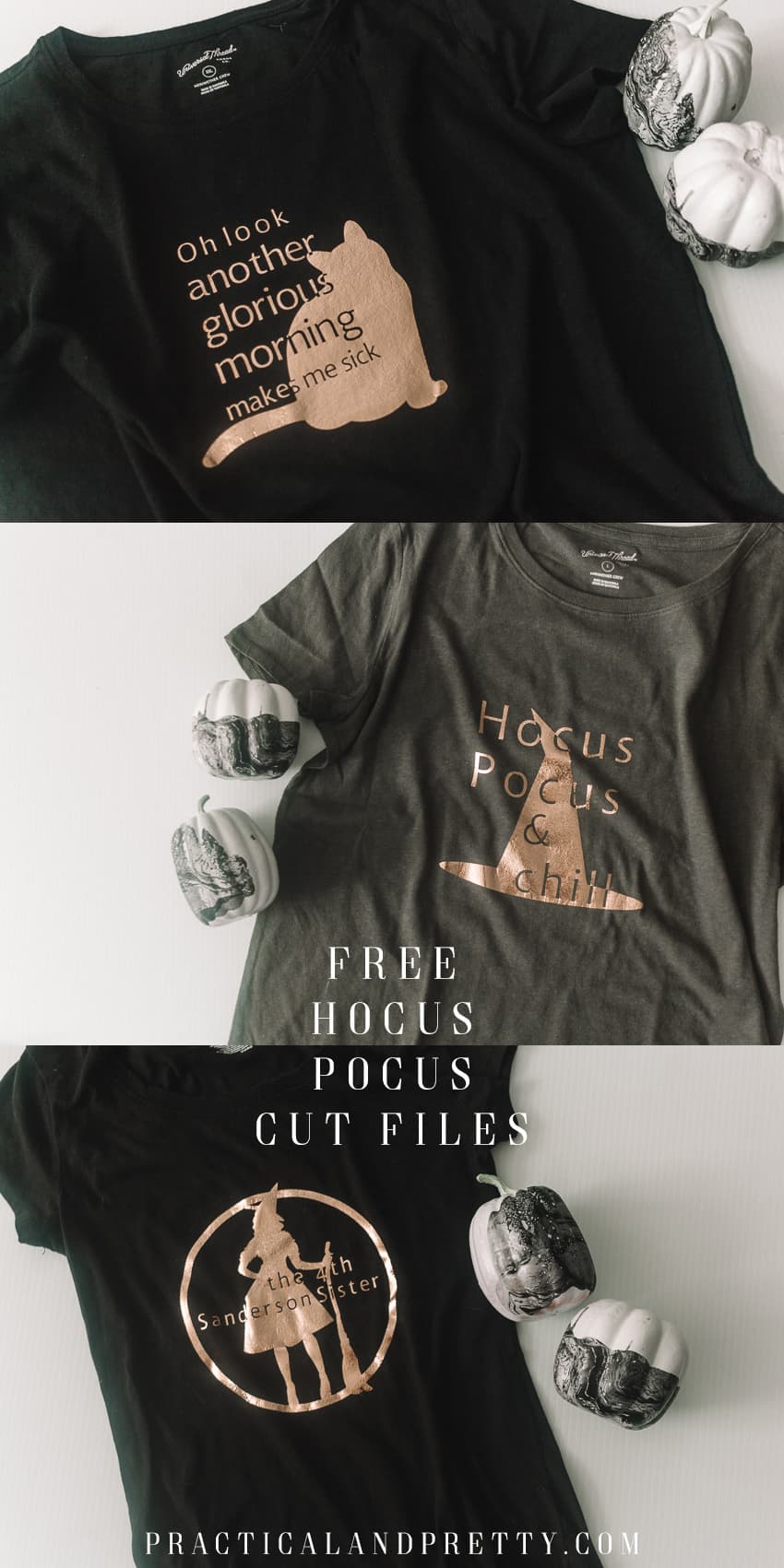 I've got three free different Hocus Pocus shirts designed for your favorite Hocus Pocus fan. Or maybe even you and two friends!