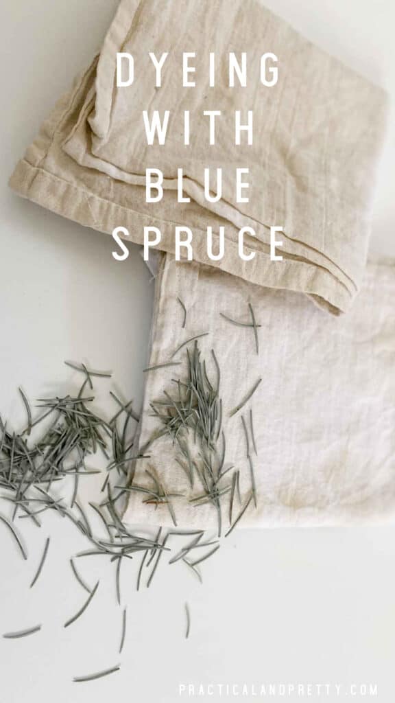 Pinterest shows that you can dye with a blue spruce tree and get a mint green color. I try it out for you and show you my natural dyeing method.