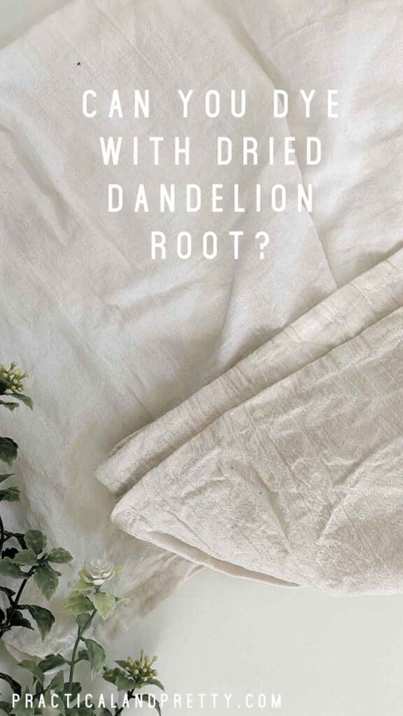 Maybe you have seen cloth naturally dyed with dandelions but can you dye with DRIED dandelions? It would save you a lot of time! I try it out for you.