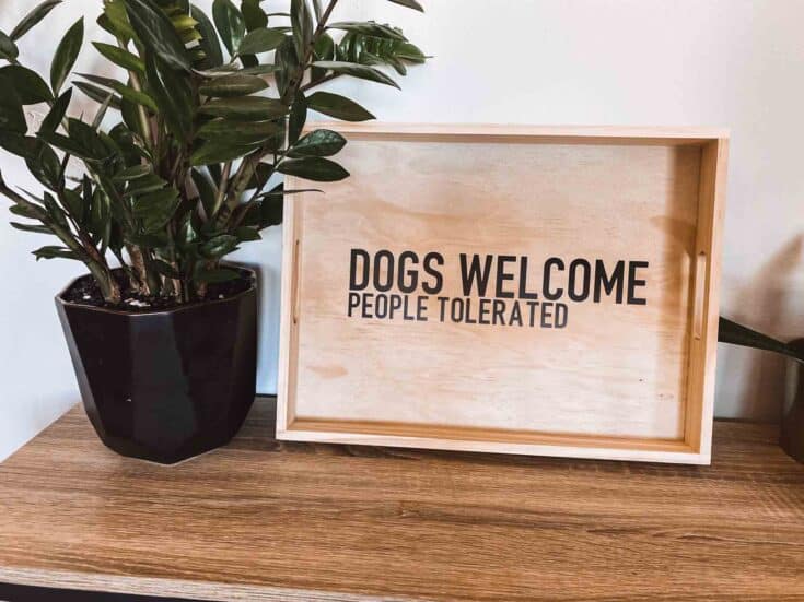 Bonus! These gifts for dog lovers ideas are simple DIYs you can whip up in no time at all. Save money and get a custom gift for your dog lover.