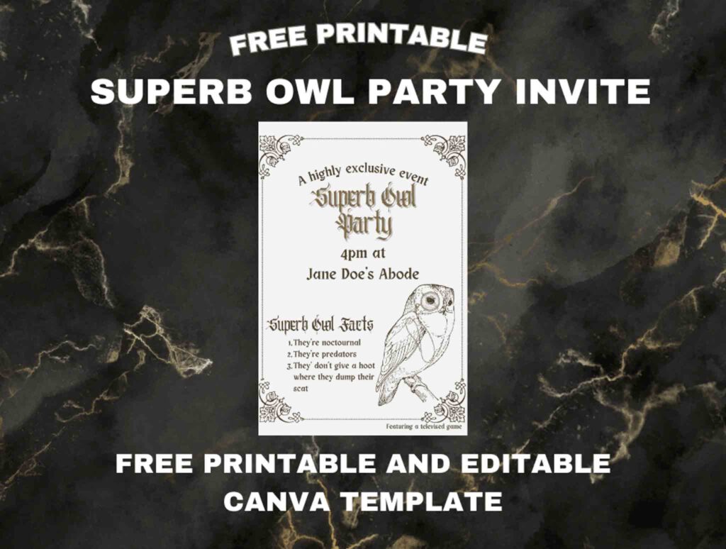 superb owl party invitation