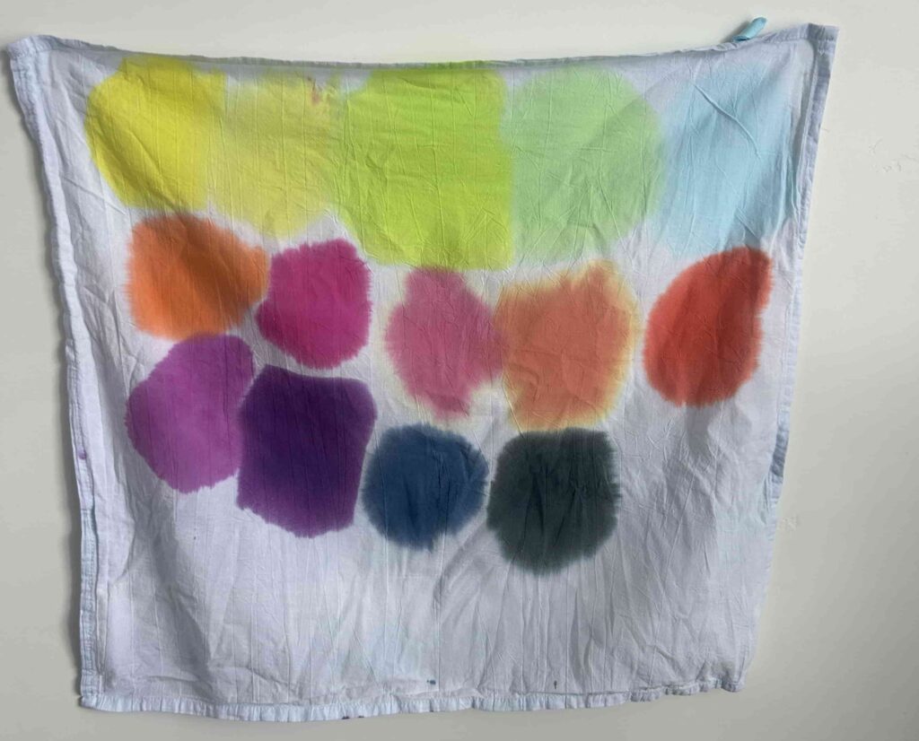 TULIP TIE DYE KIT SWATCH TEST