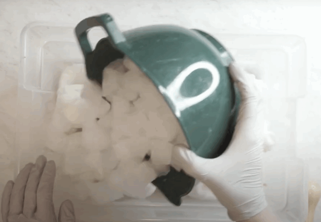 Gloved hands pouring ice cubes over tied hoodie in bin for ice dyeing