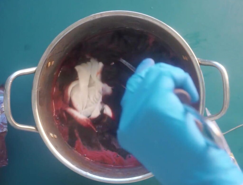 Folded fabric soaking in the mordant bath before dyeing with logwood